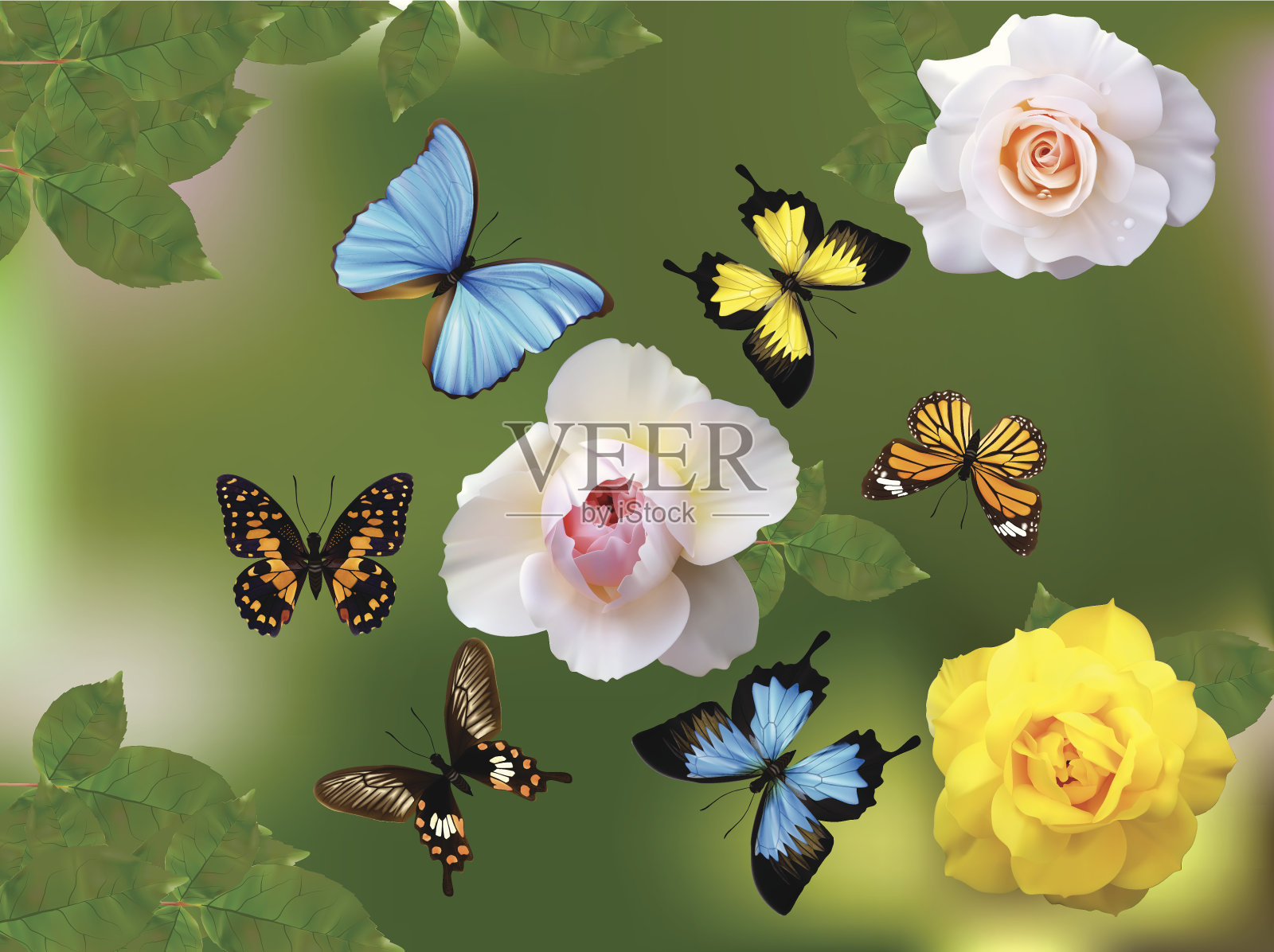 蝴蝶Garden-Vector插图插画图片素材