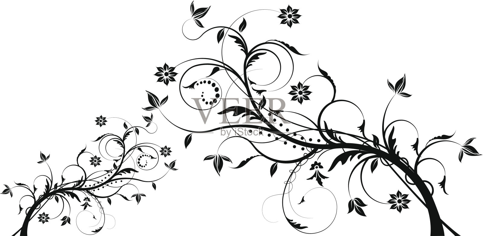 植物成分插画图片素材