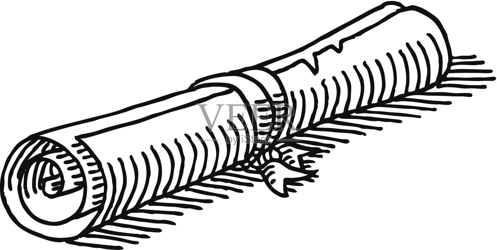 羊皮纸卷画插画图片素材