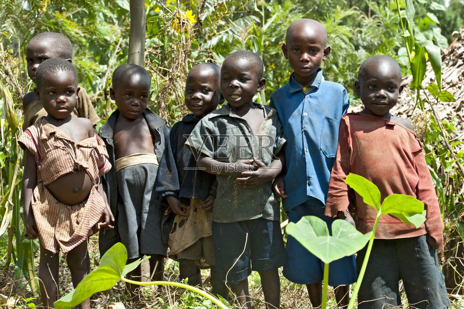 一群小矮人好奇地看着照片摄影图片
