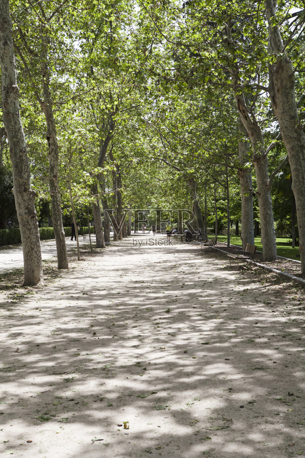 雷蒂罗公园， 马德里， 西班牙照片摄影图片