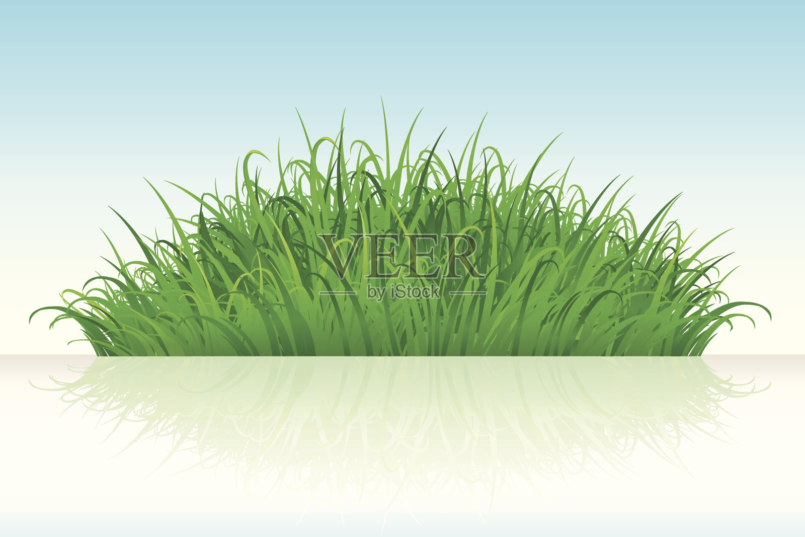 绿草插画图片素材