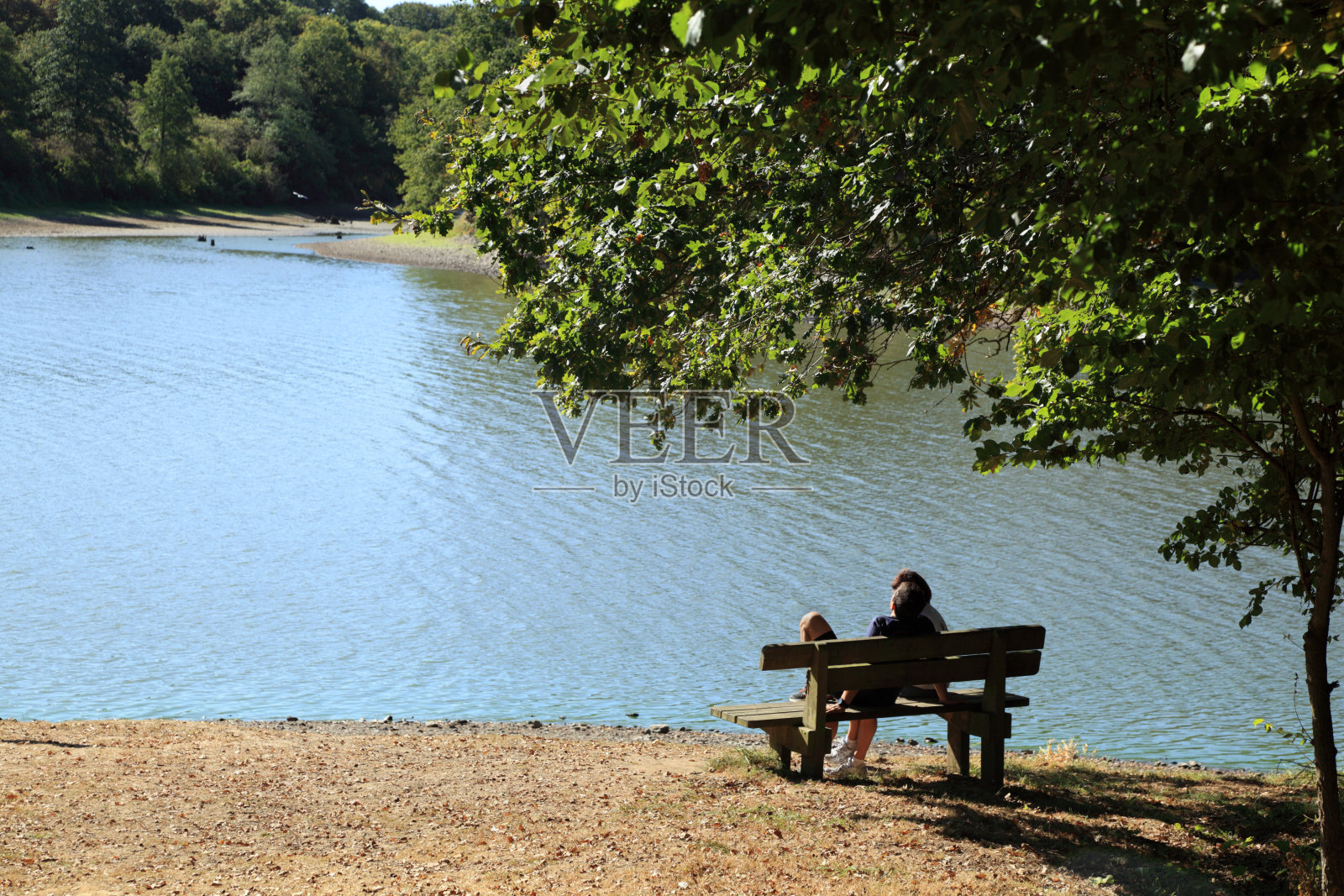 一对白种人夫妇坐在阳光明媚的湖边沙滩长椅上照片摄影图片