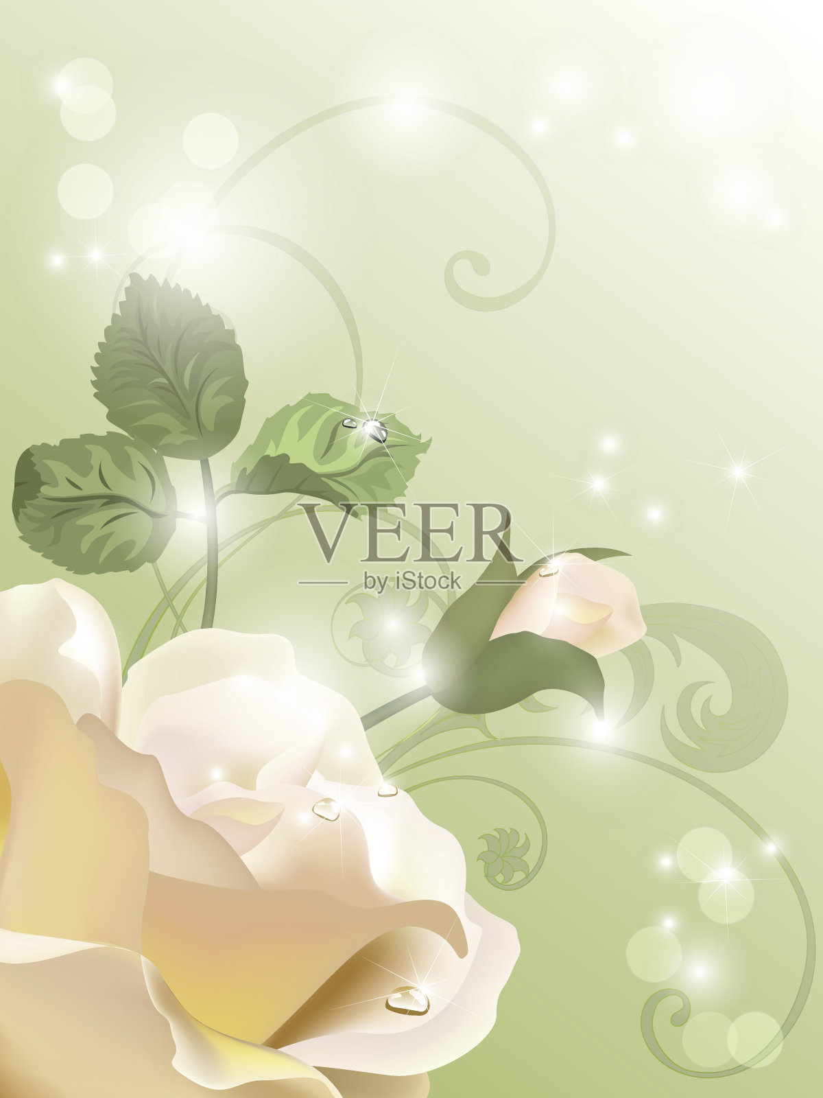 明信片和玫瑰插画图片素材