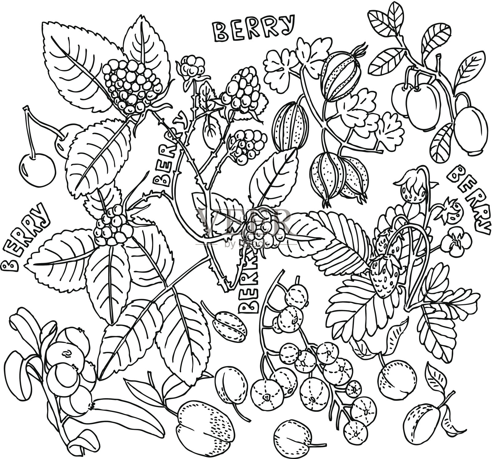 水果的背景插画图片素材