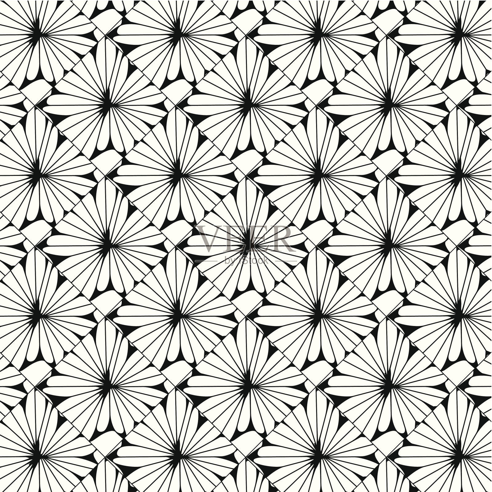 抽象的黑白花卉图案背景插画图片素材