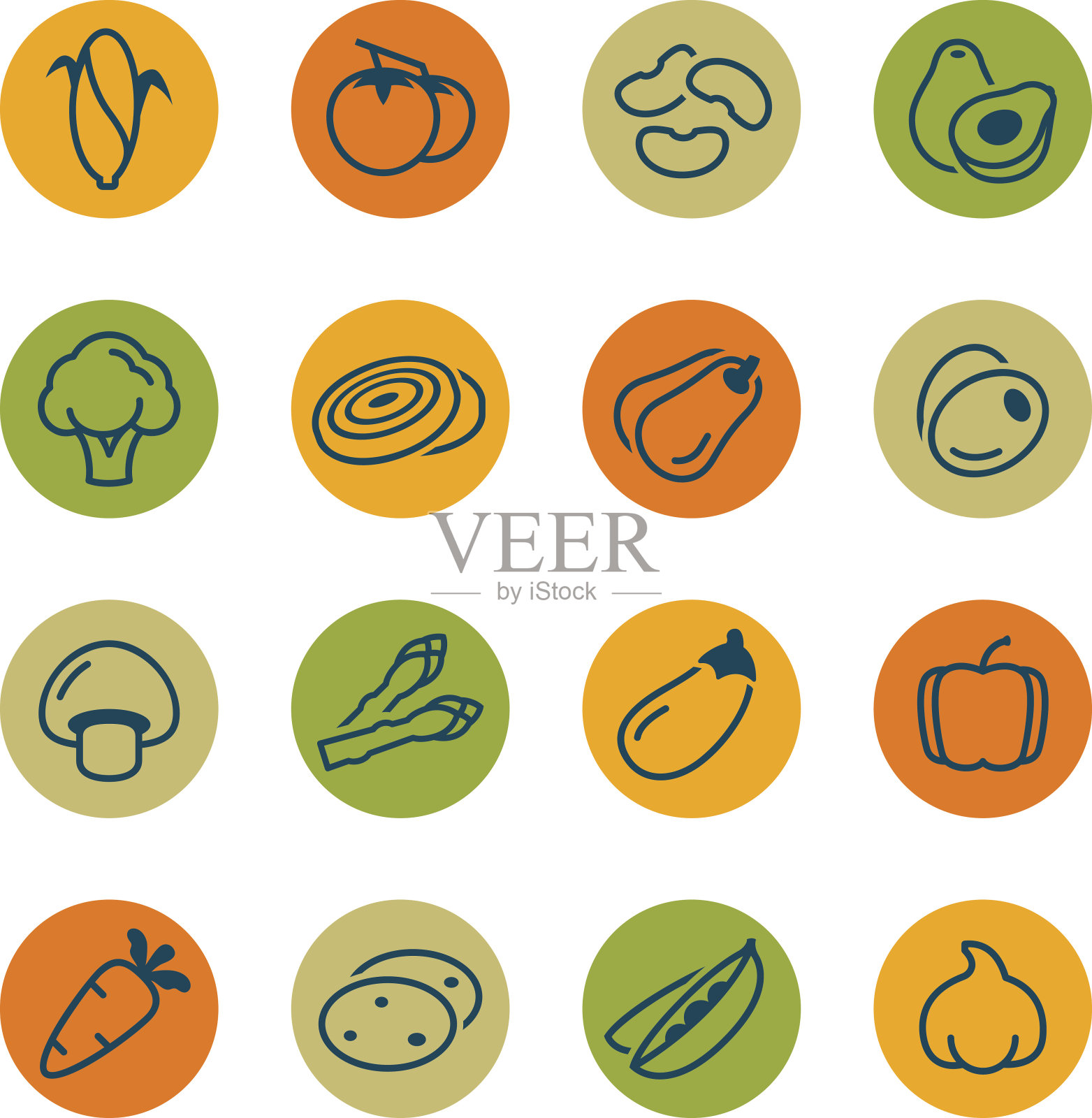 蔬菜圆图标插画图片素材