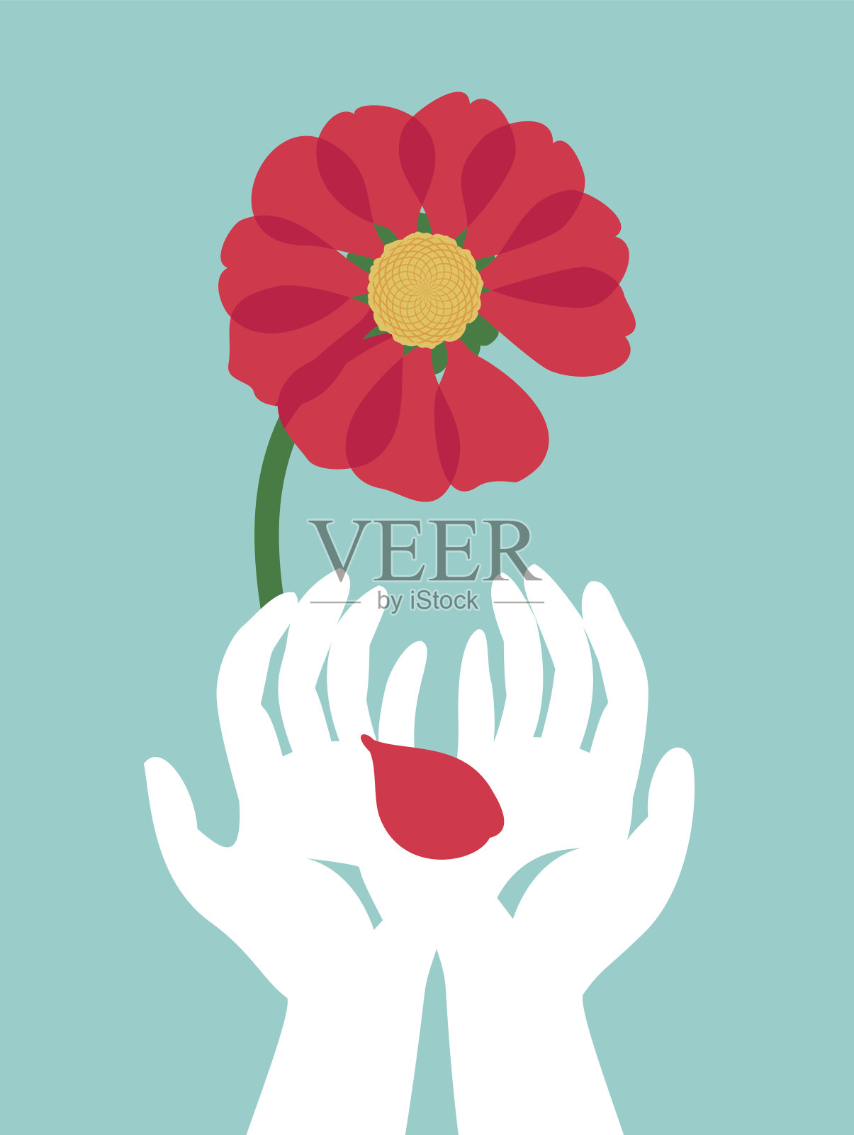 双手戴着外科手套，拿着红色的花瓣插画图片素材