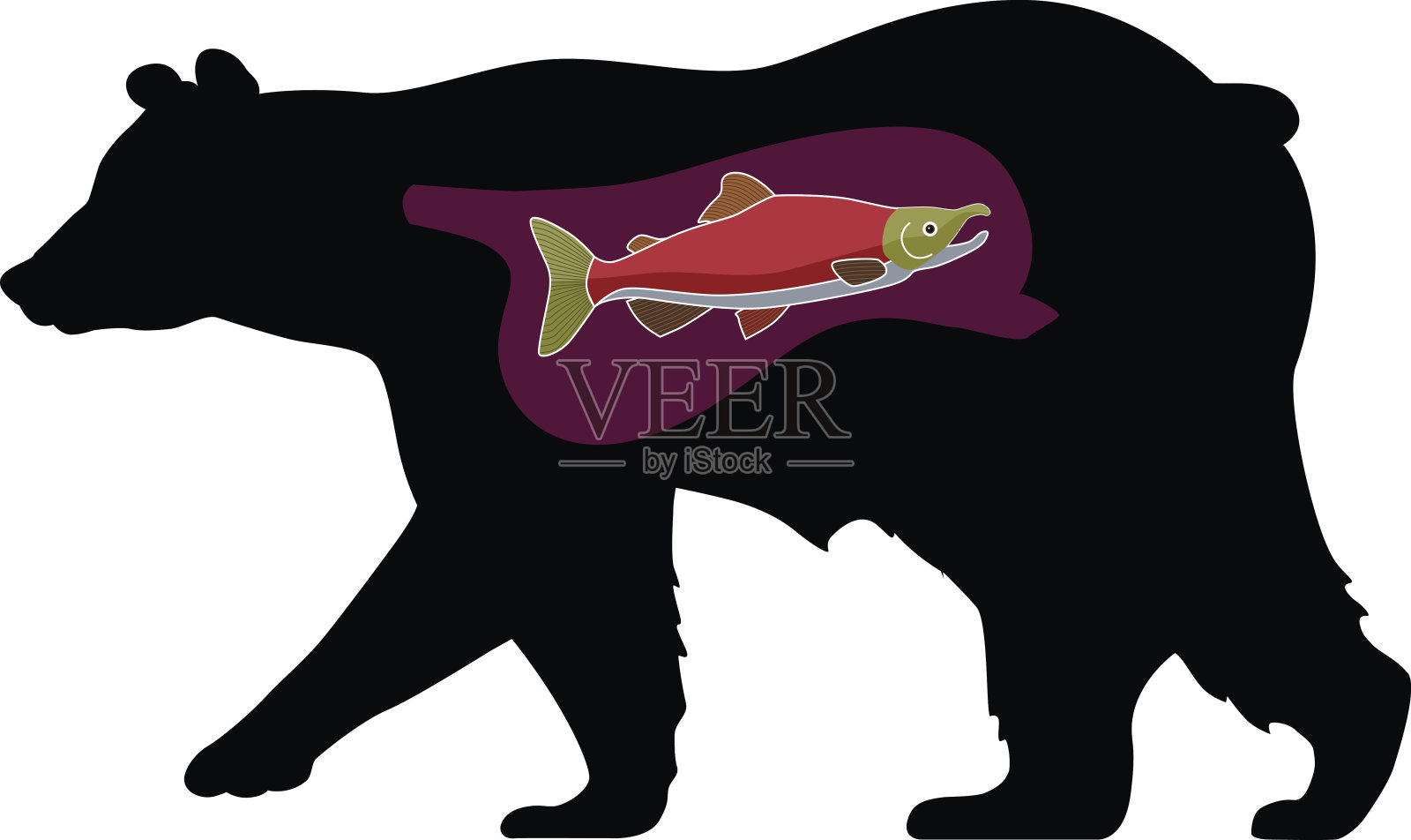 肚子里有一条鲑鱼设计元素图片