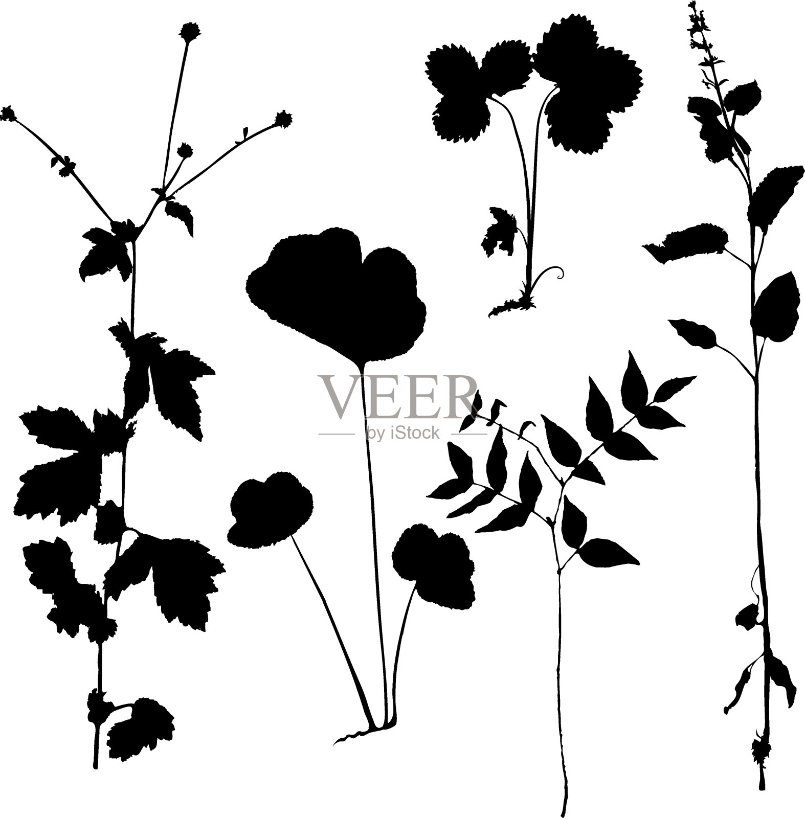 草轮廓插画图片素材