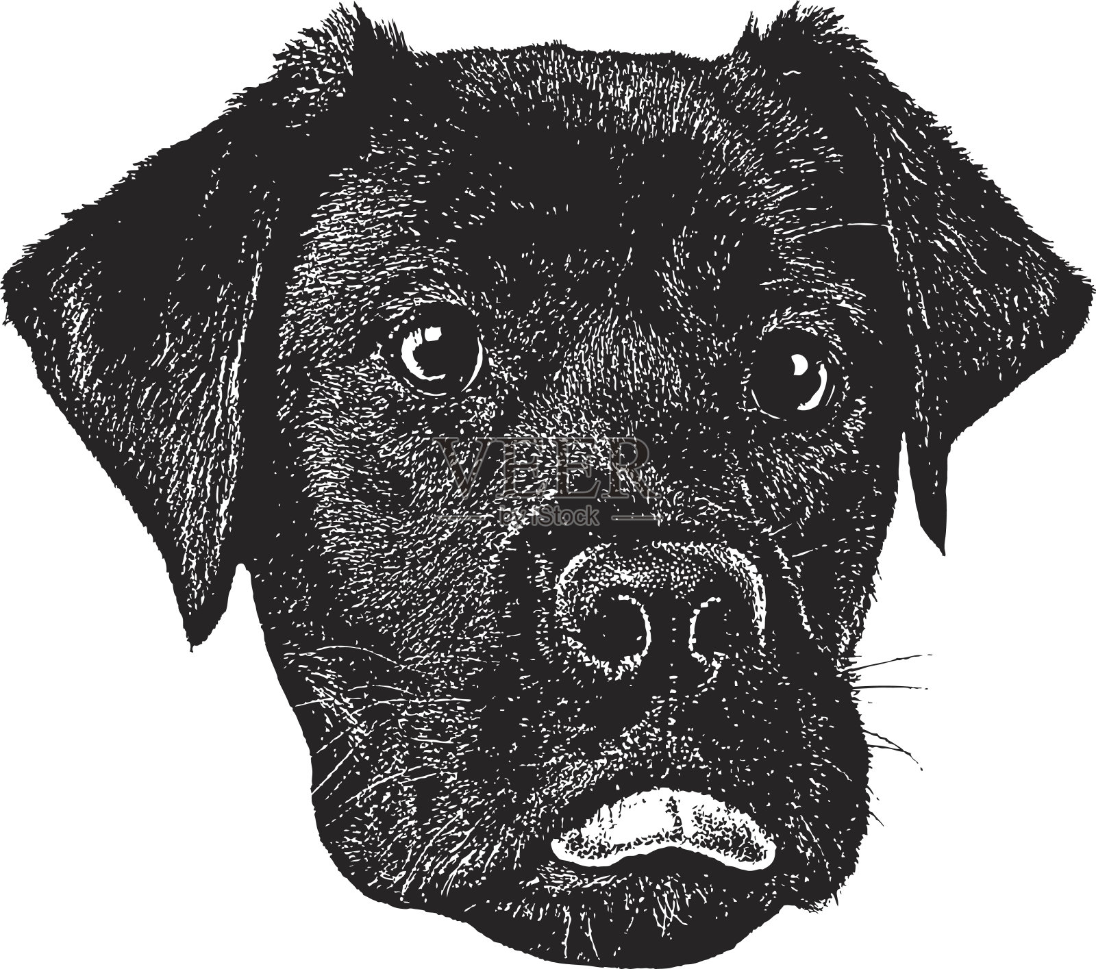 狗狗搞笑的脸插画图片素材