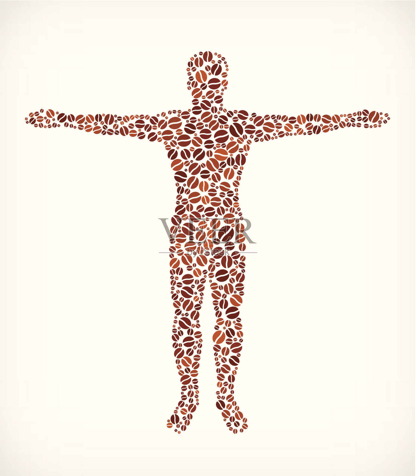 人体解剖学版税免费咖啡豆图案插画图片素材