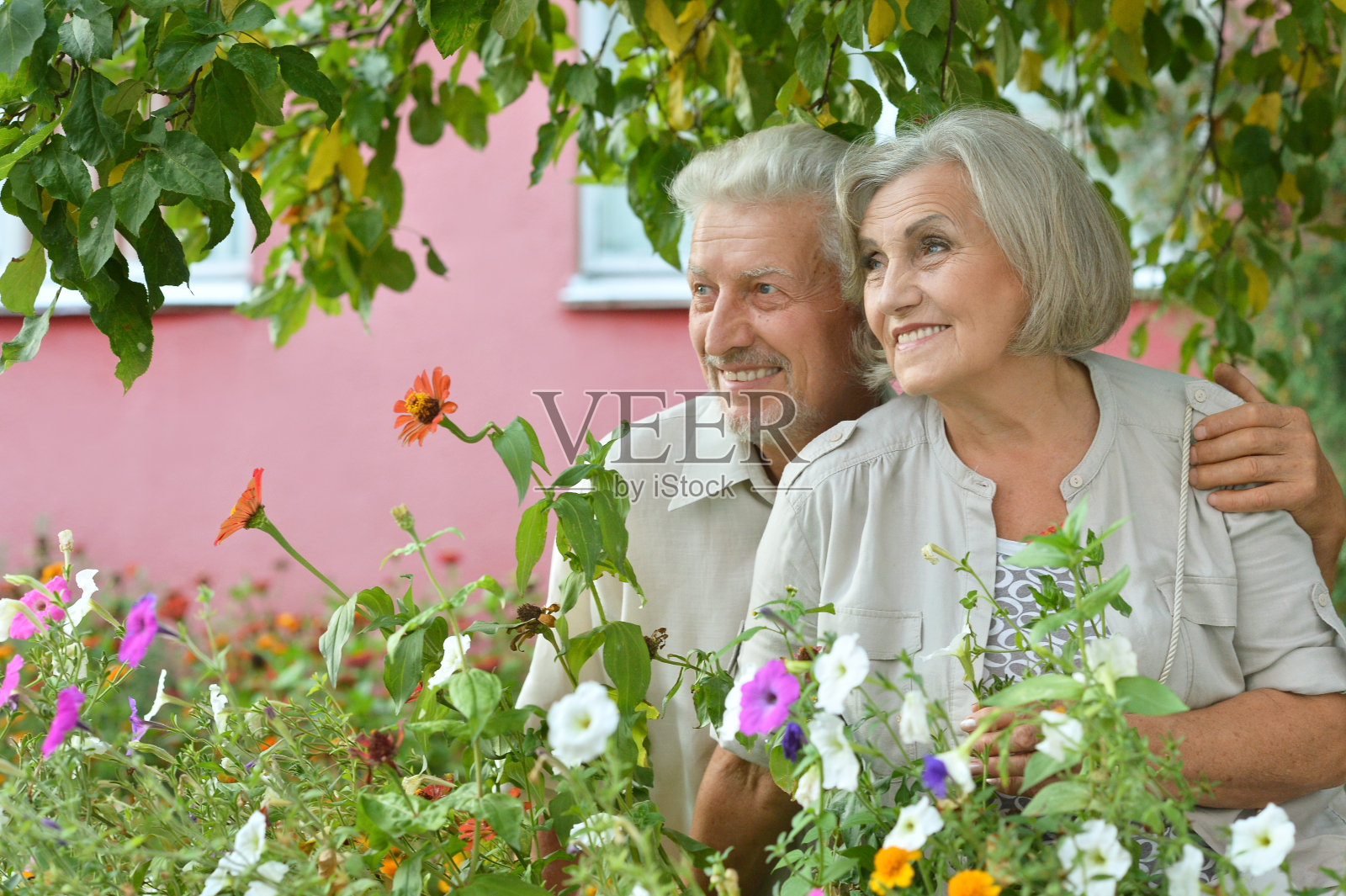 老年夫妇在夏季公园照片摄影图片