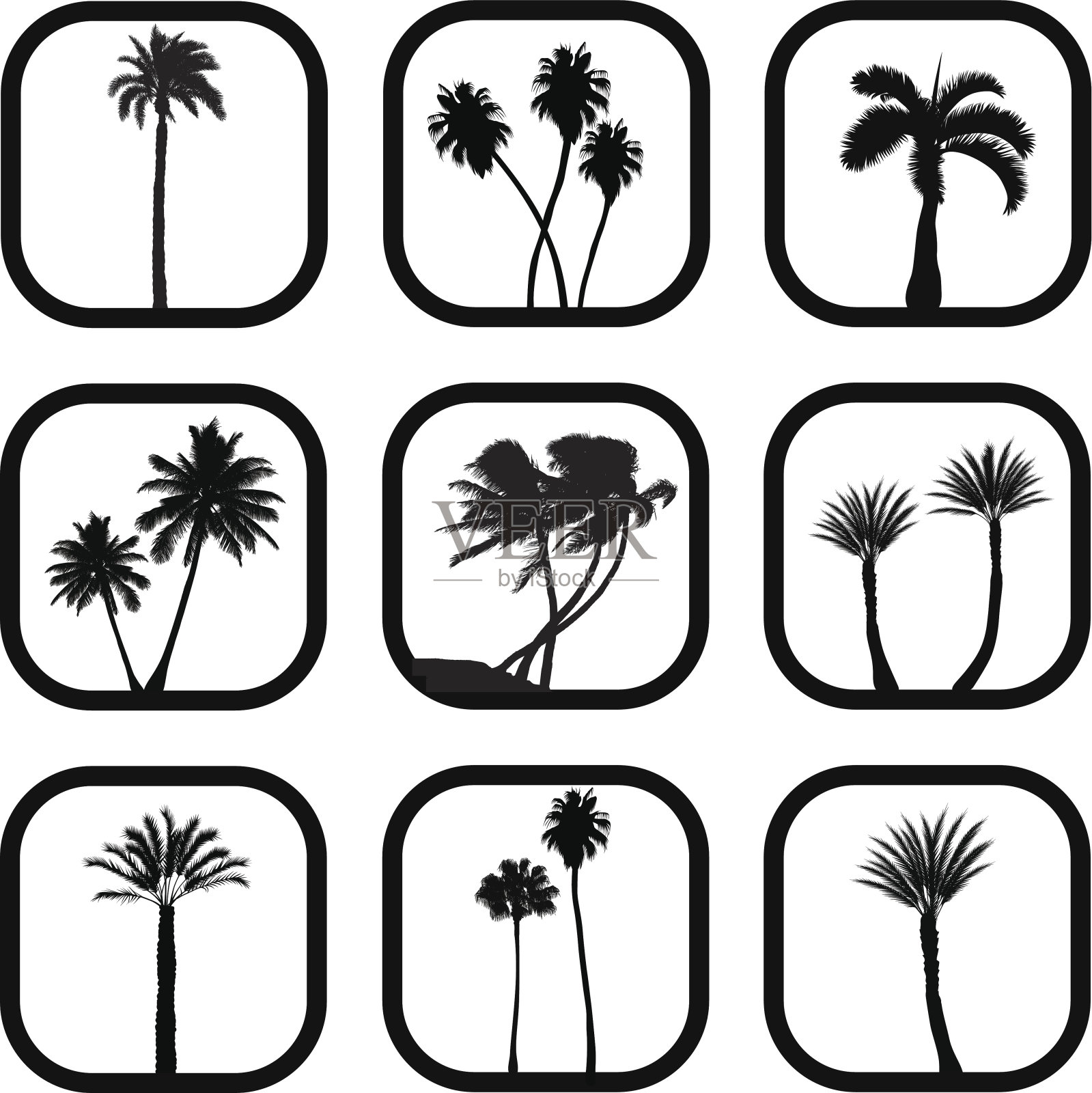 棕榈瓦里蒂设计元素图片