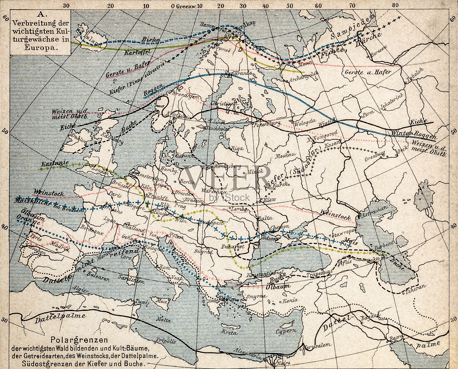 植物地理图插画图片素材