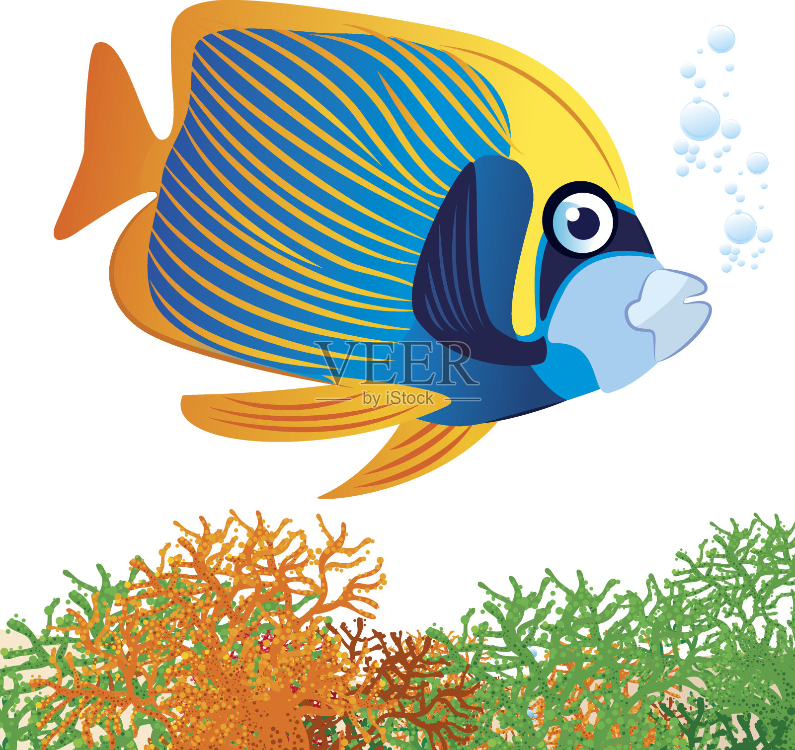 皇帝神仙鱼插画图片素材