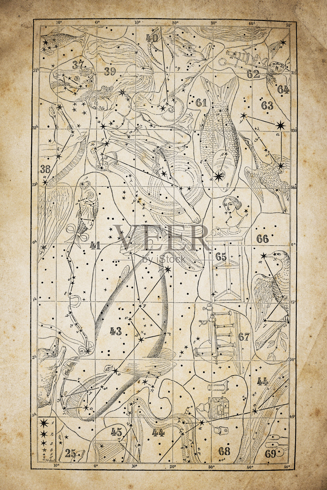 黄纸古玩插图:黄道星座(系列)插画图片素材