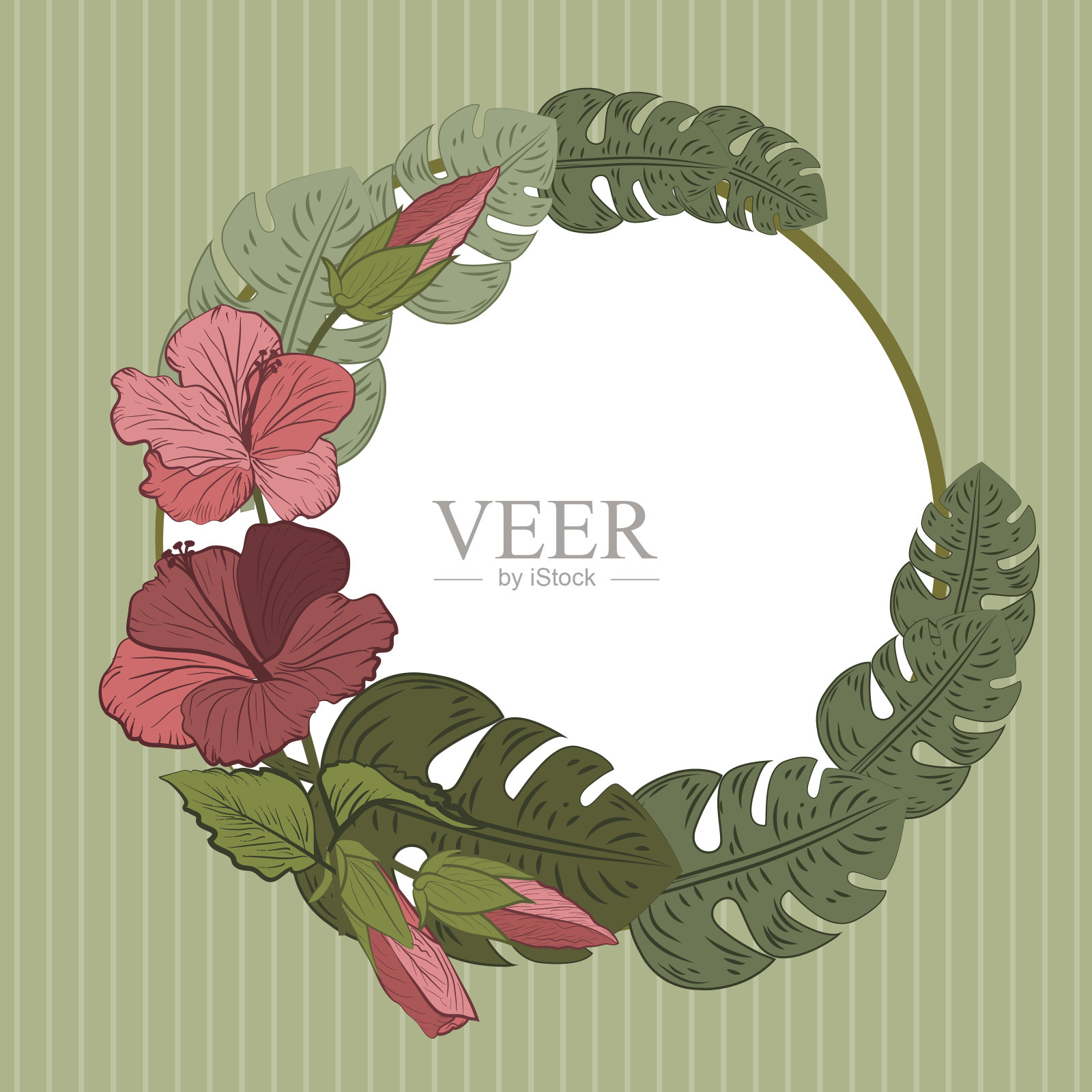 热带芙蓉花框架插画图片素材