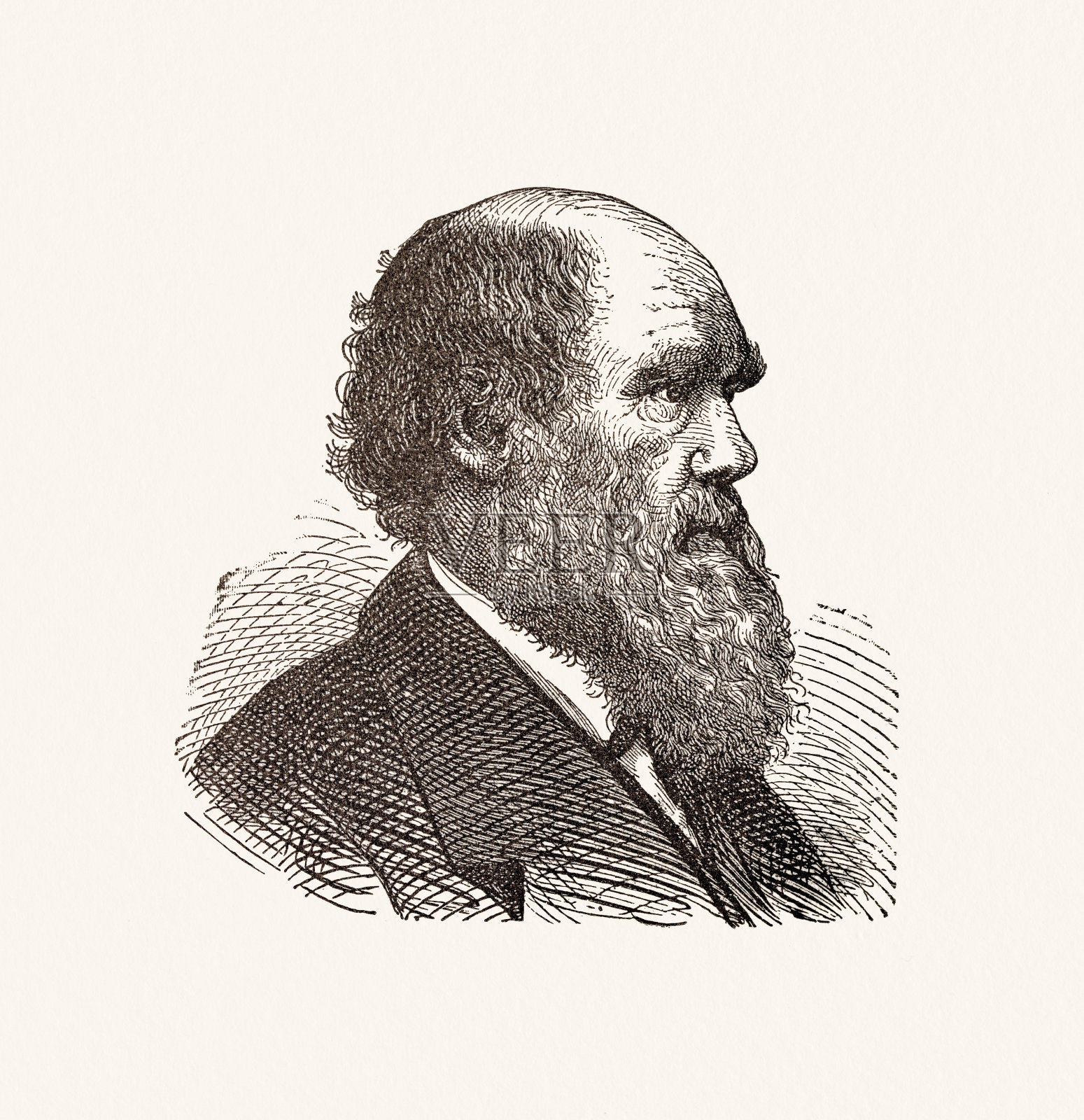 查尔斯·达尔文，19世纪的插图插画图片素材