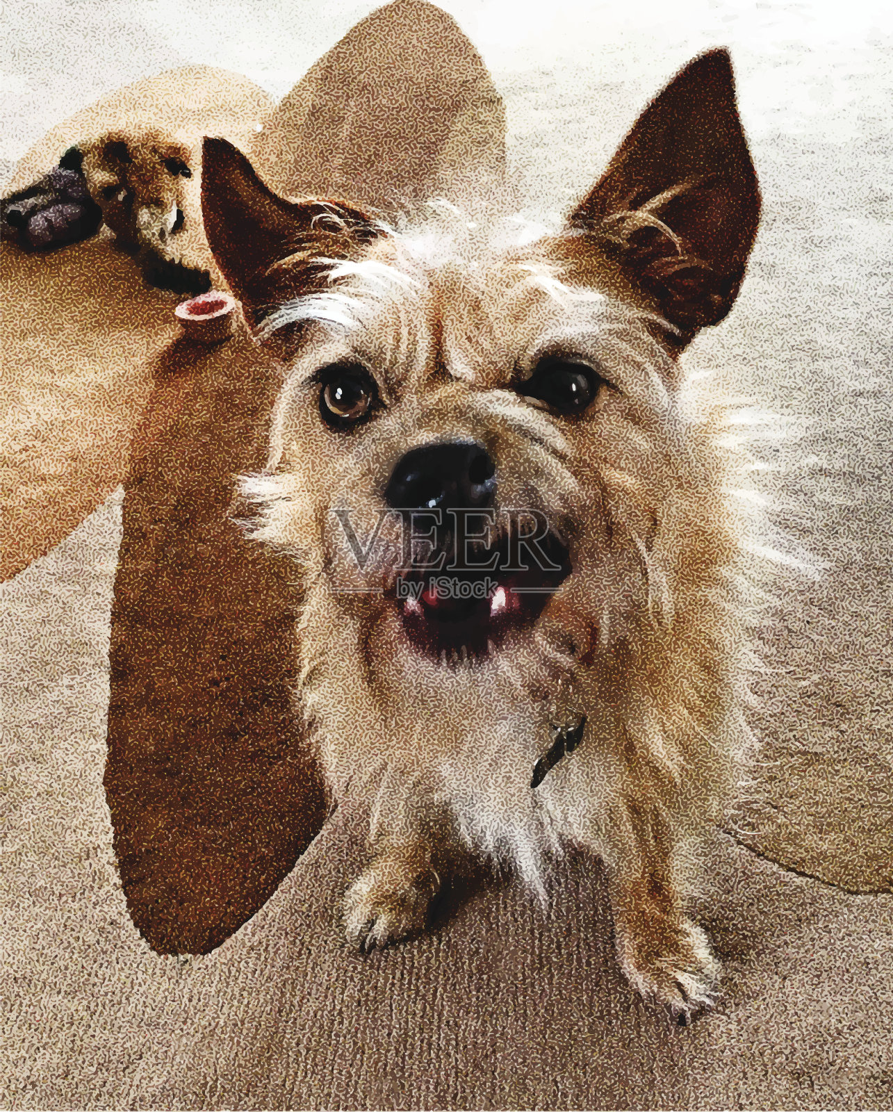 臭脾气的狗做鬼脸插画图片素材