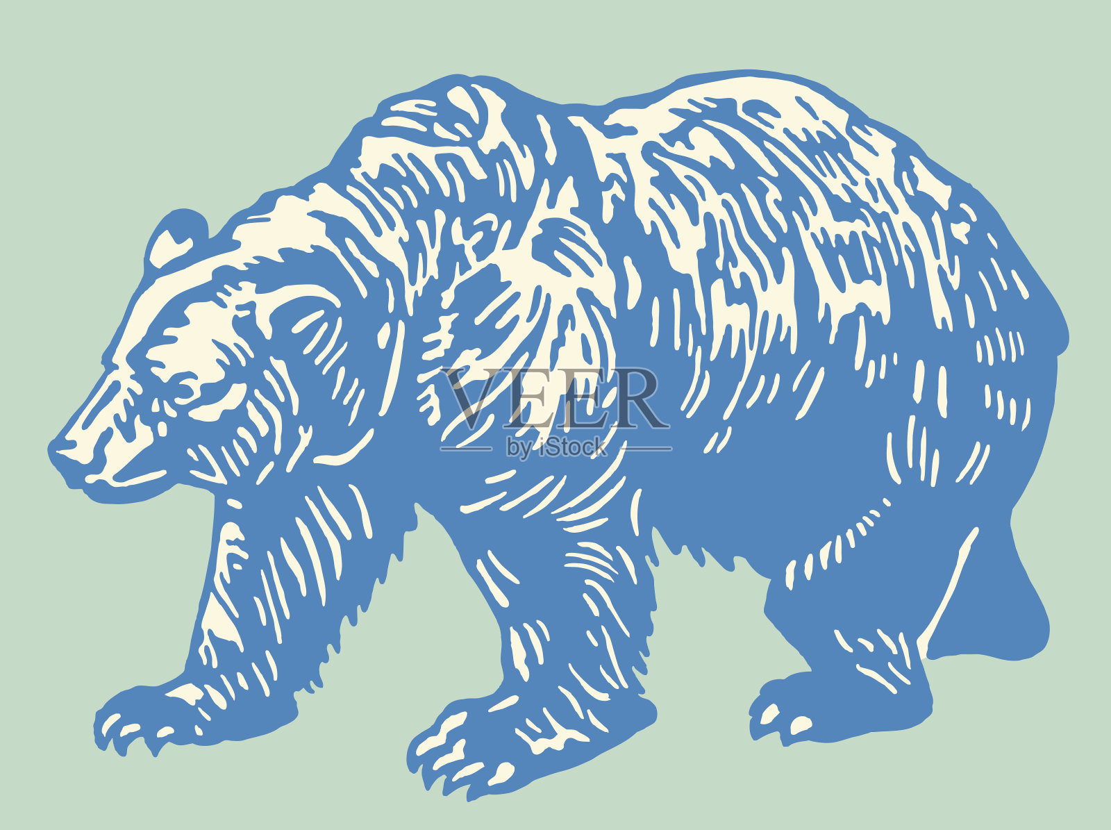 熊插画图片素材