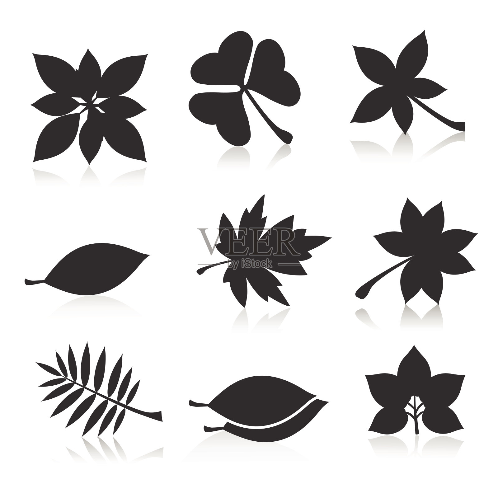 绿叶图标集插画图片素材