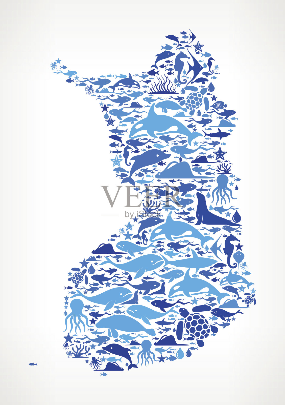 芬兰海洋海洋生物蓝色图标图案插画图片素材