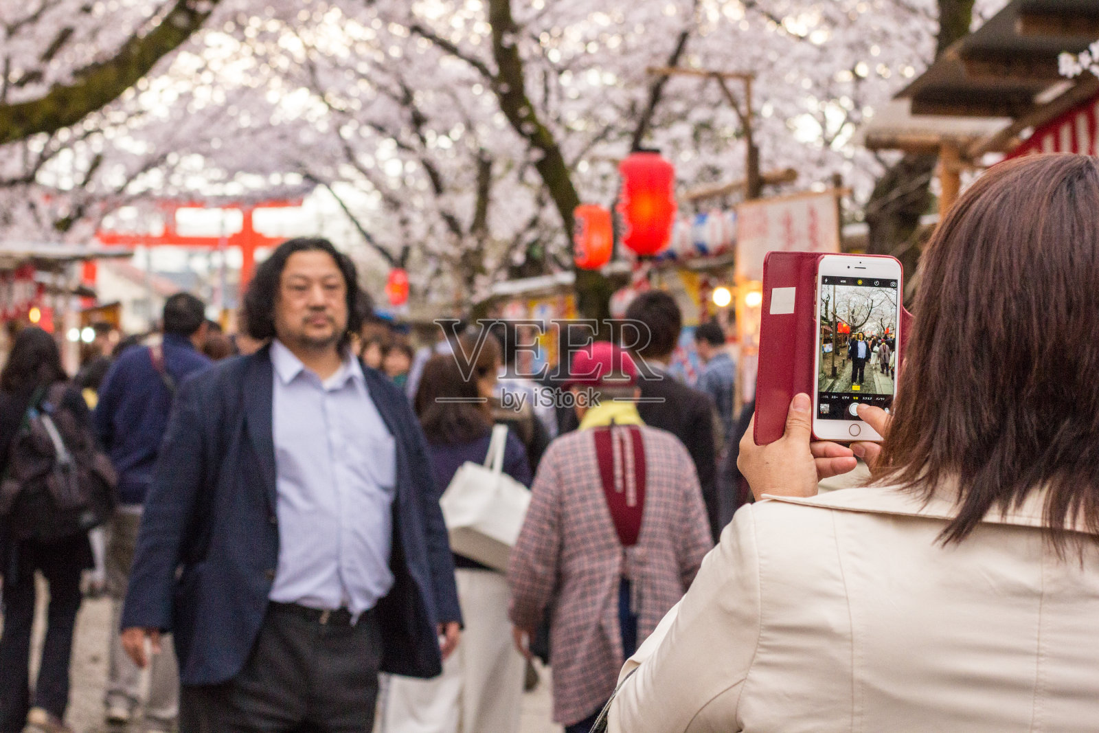 日本本州京都市照片摄影图片