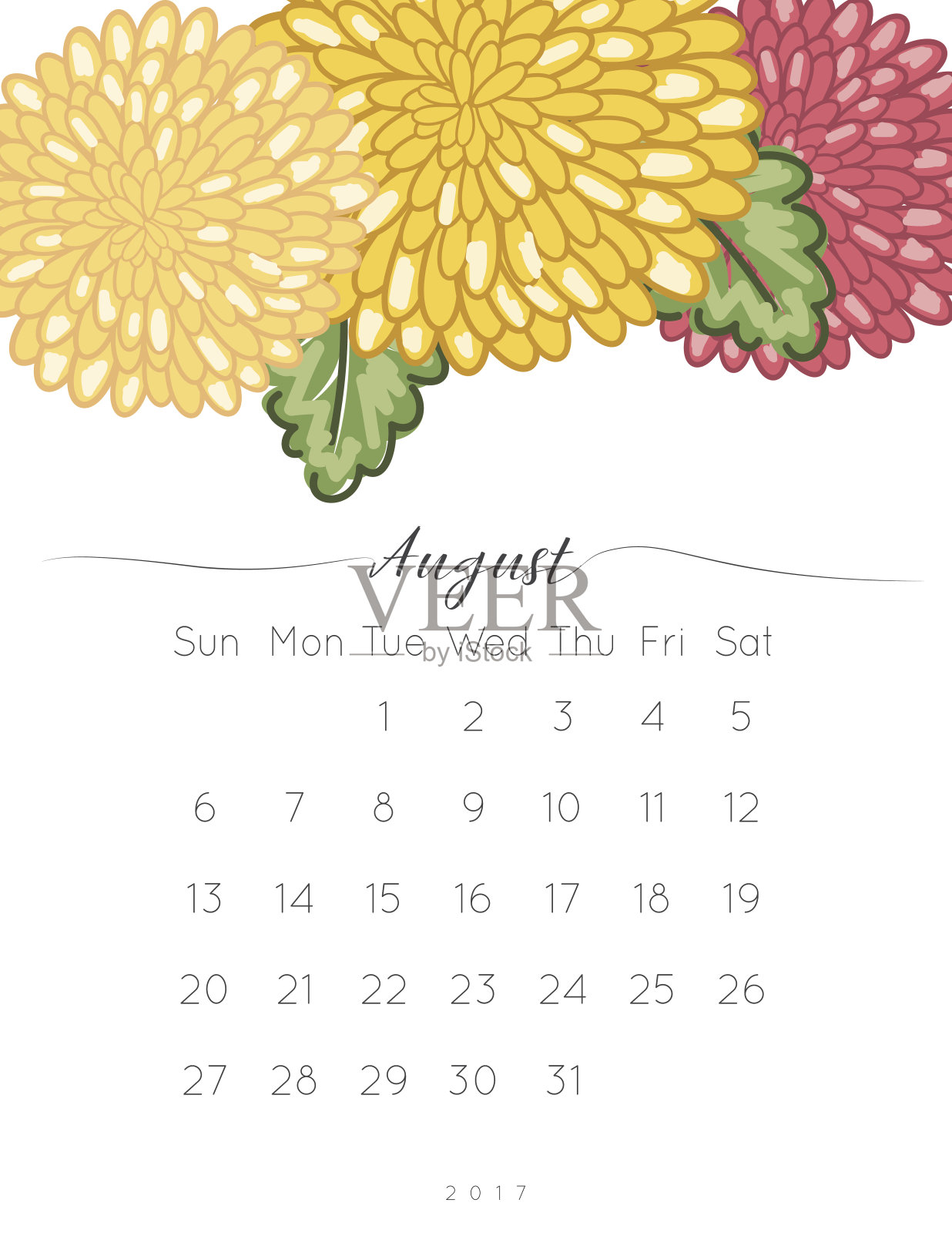 2017年菊花花台板日历插画图片素材