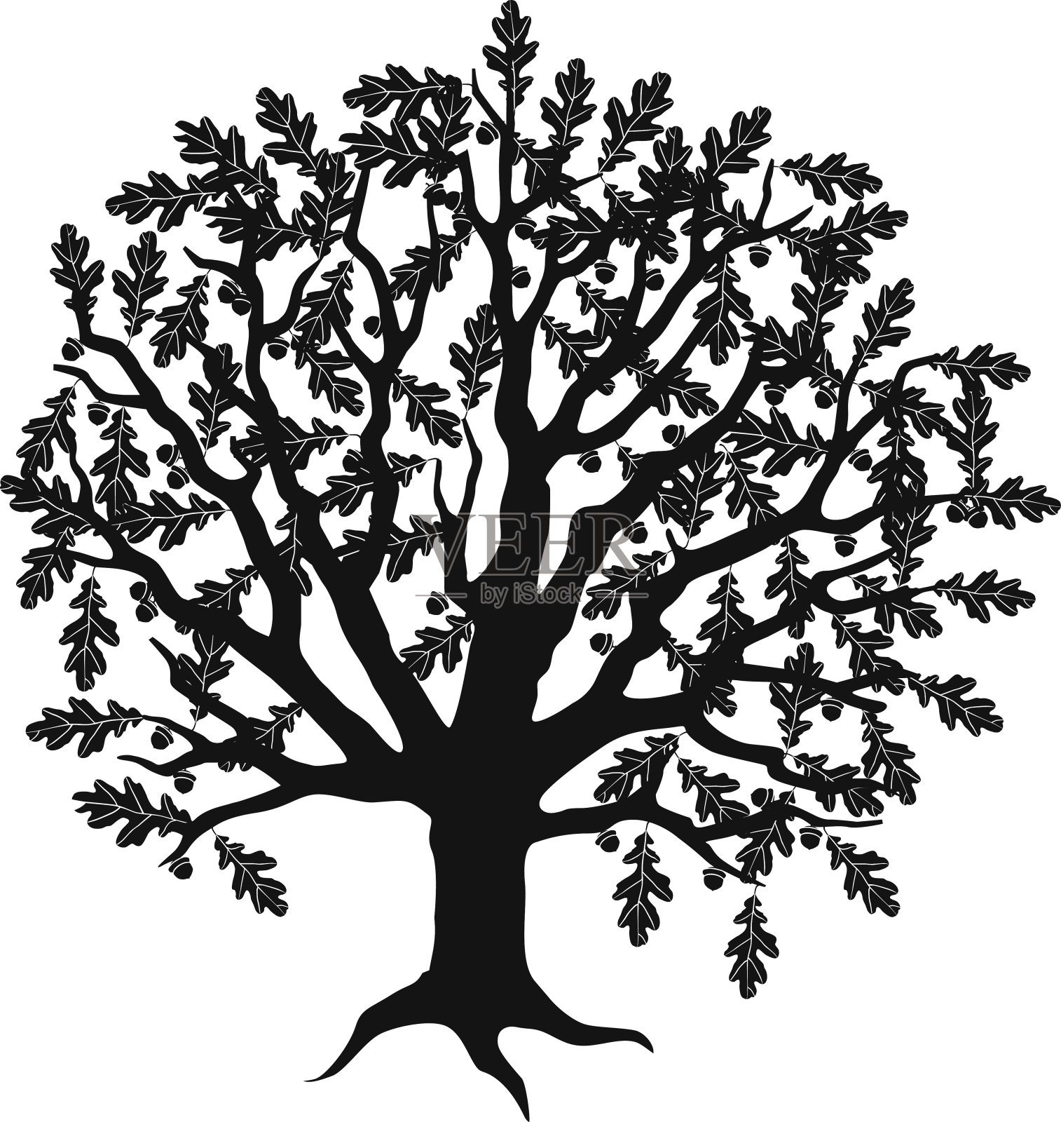 橡子黑白相间的橡树设计元素图片