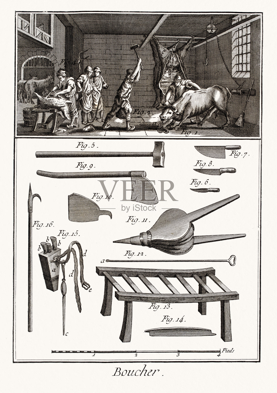 《狄德罗百科全书》中的屠宰工具插画图片素材