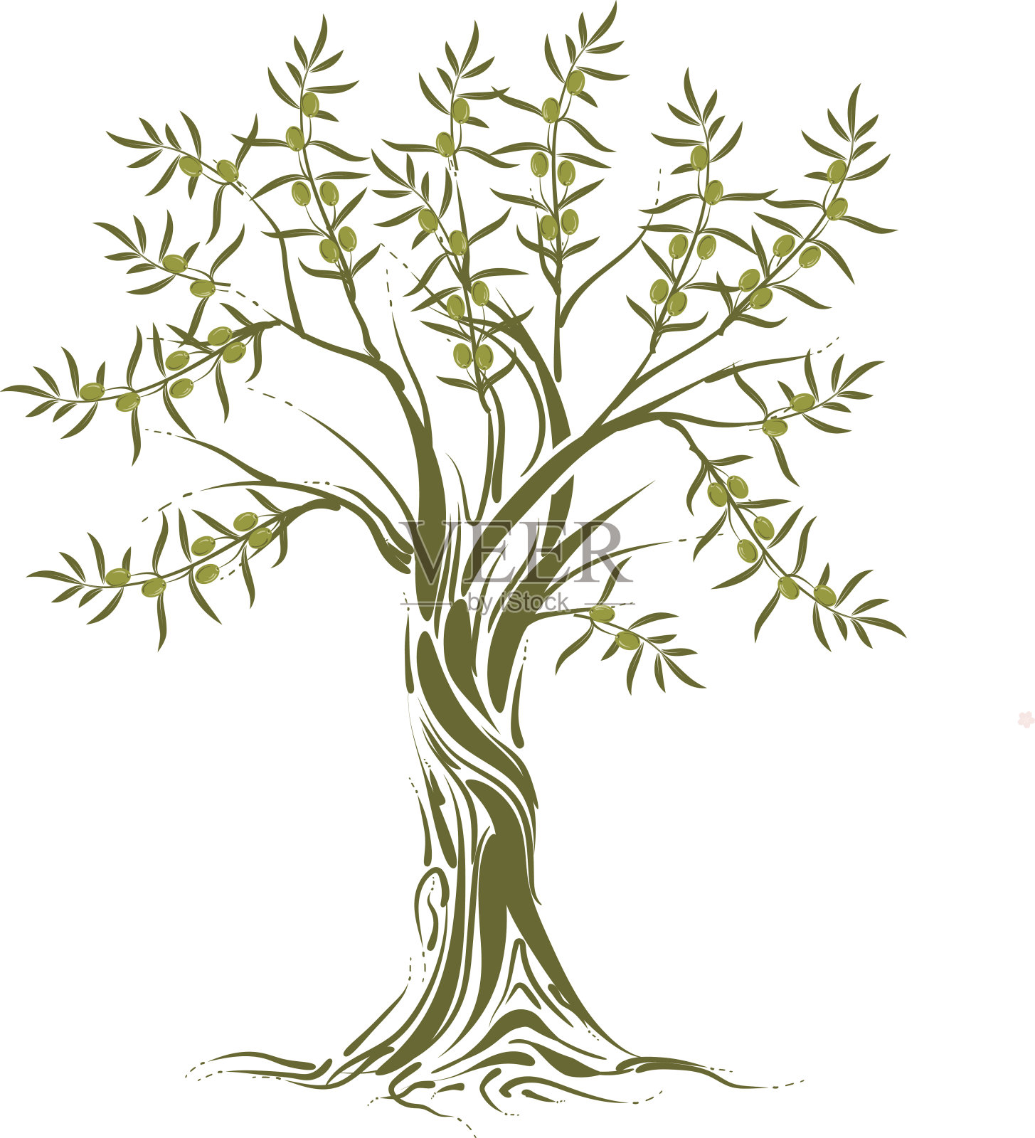 橄榄树插画图片素材
