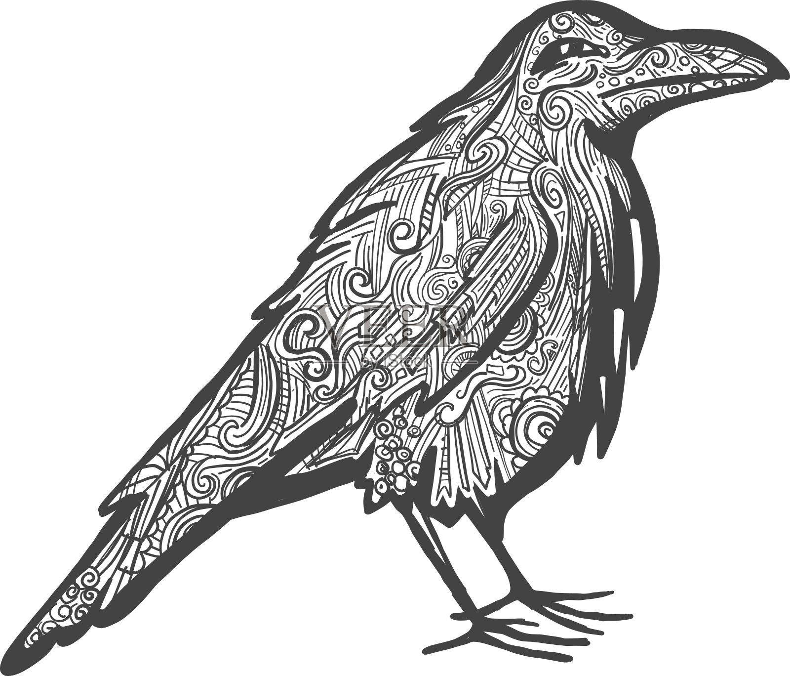 乌鸦涂鸦手绘在白色的背景插画图片素材