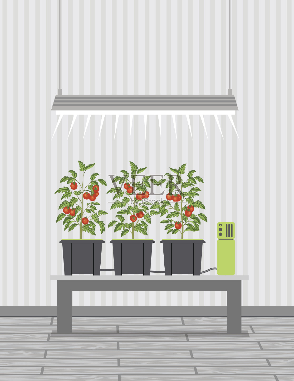 物联网水培种植插画图片素材