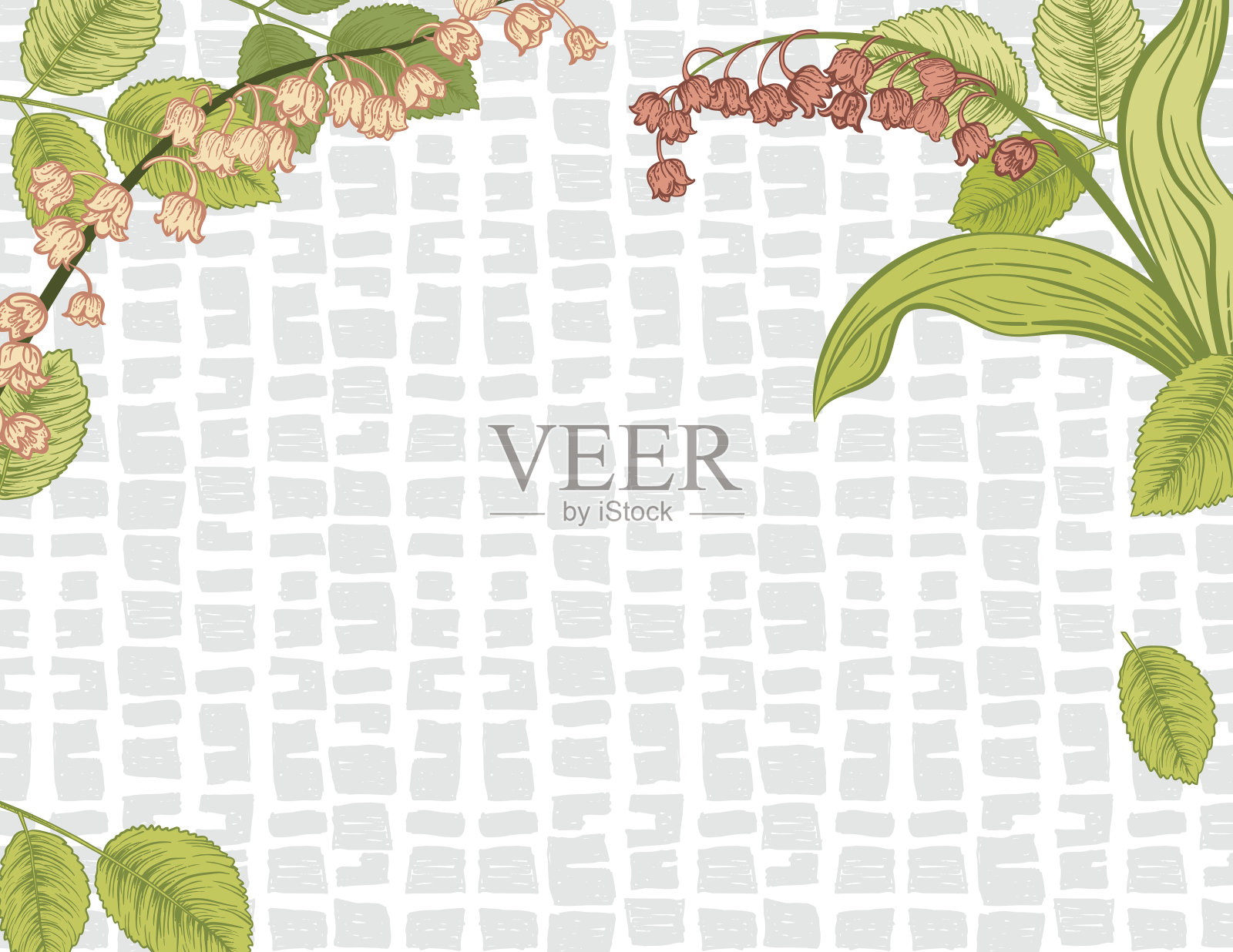 详细植物和植物背景插画图片素材