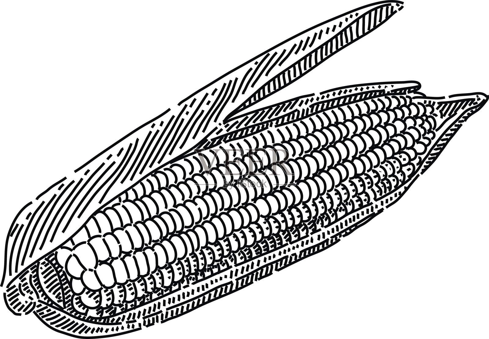 秋天叶子画插画图片素材