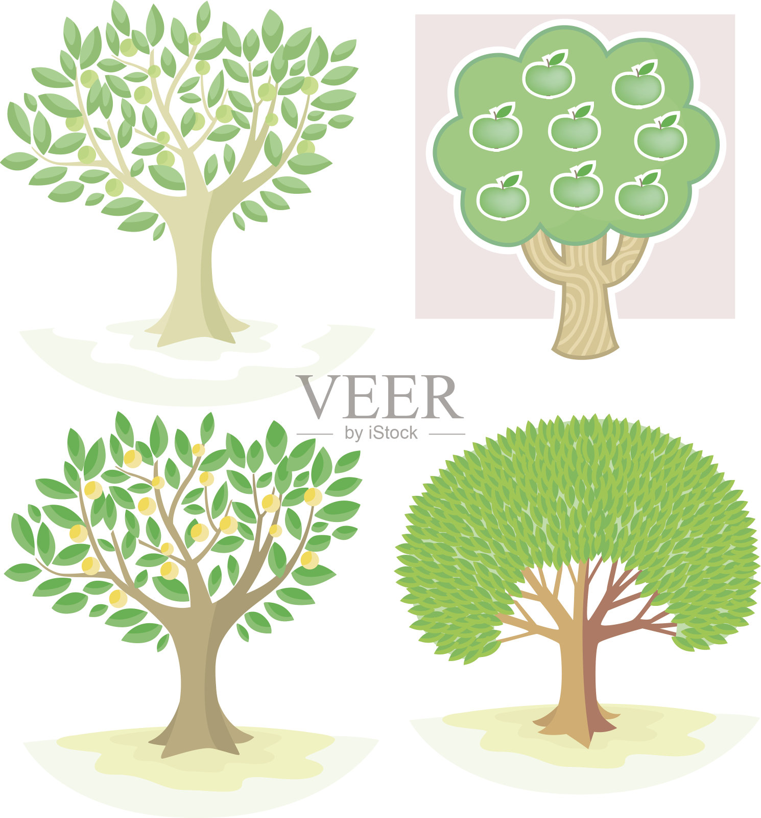 漂亮的树(4种不同的)插画图片素材
