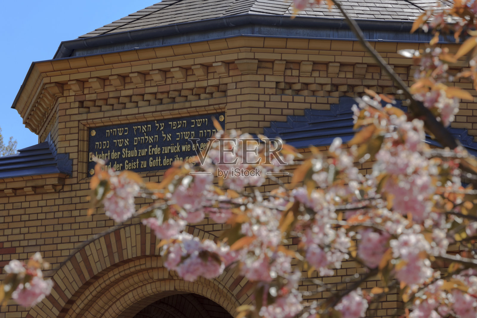 犹太人韦斯柏林ensee公墓照片摄影图片