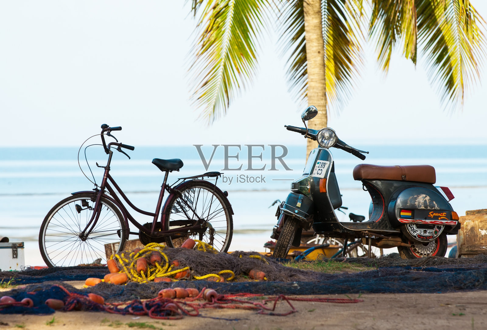 桑给巴尔海滩照片摄影图片