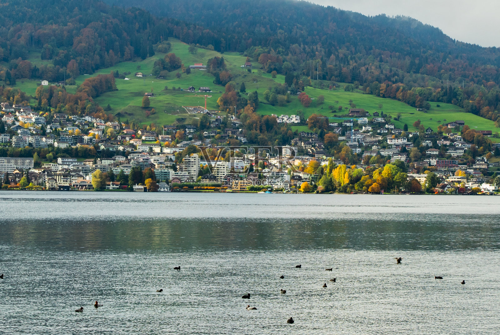 瑞士湖照片摄影图片