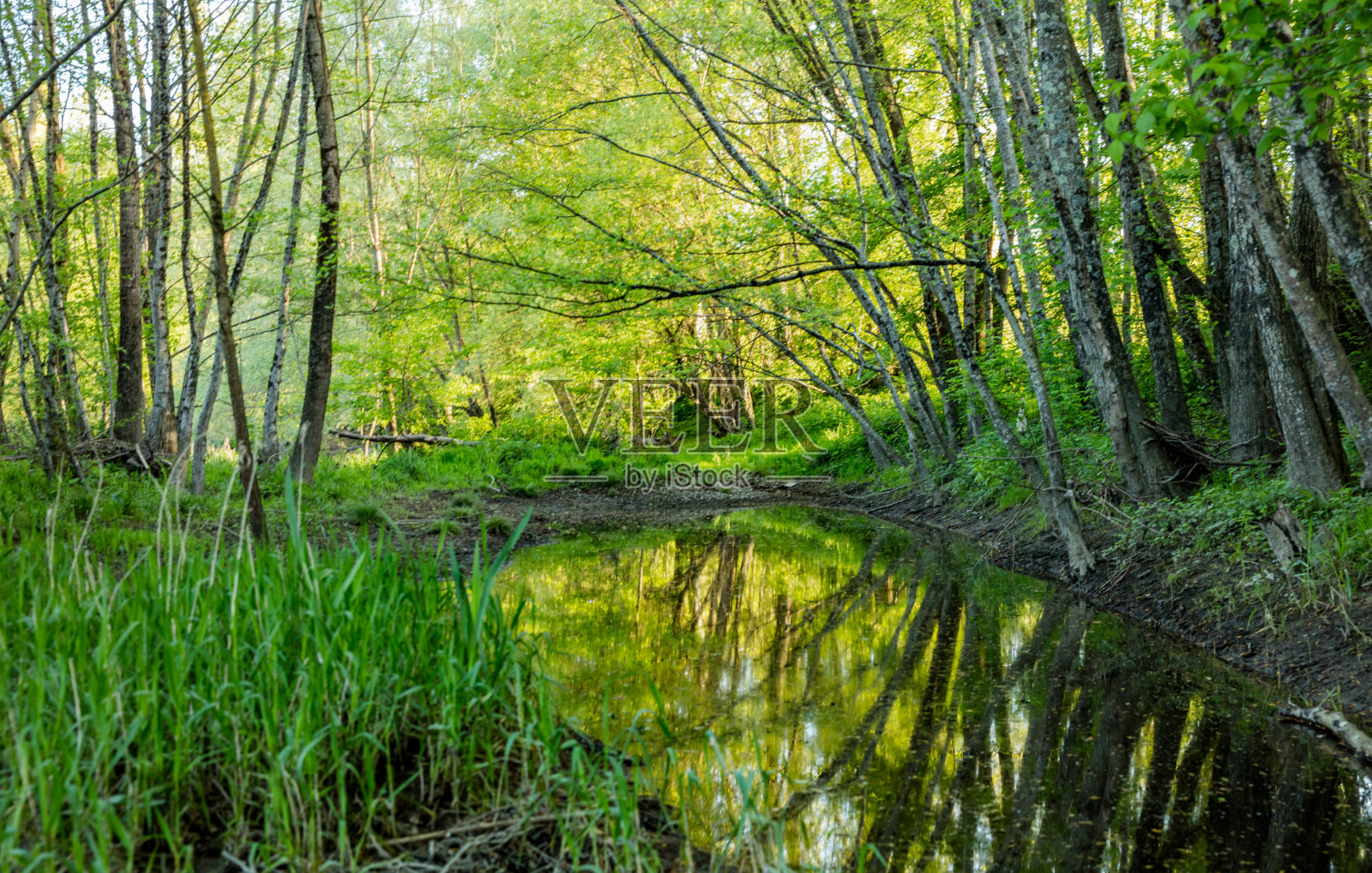 反射照片摄影图片