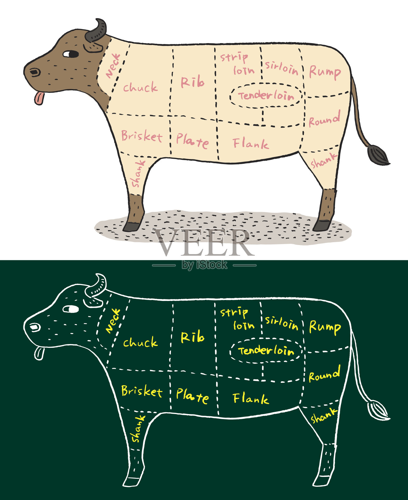 牛肉的部分插画图片素材