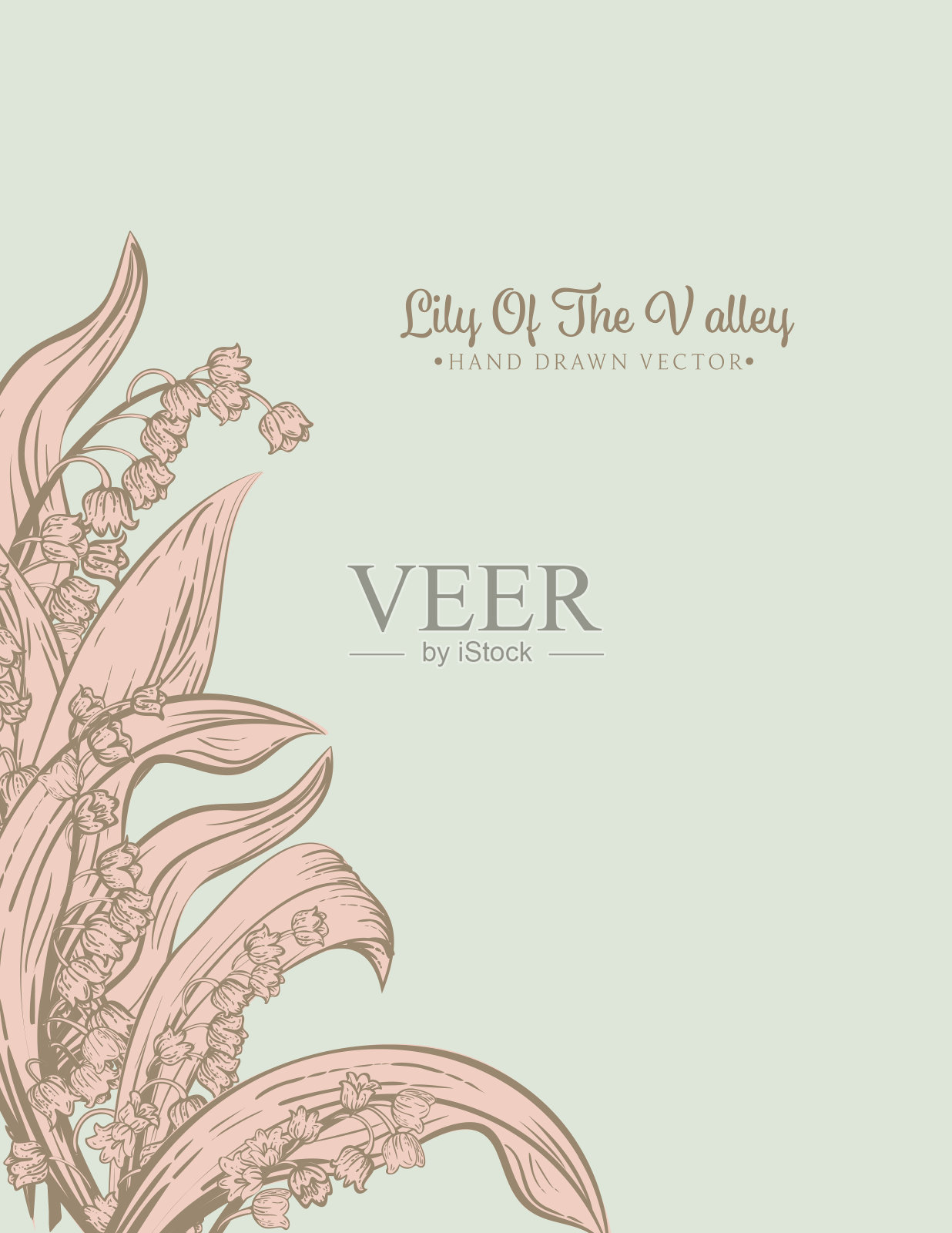 山谷百合邀请书模板插画图片素材