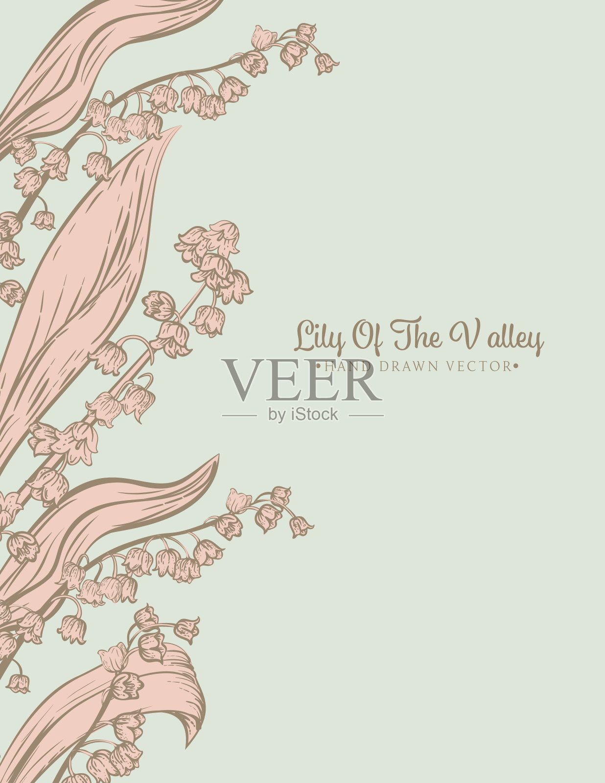 山谷百合邀请书模板插画图片素材