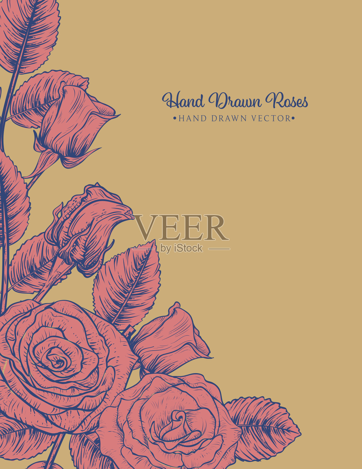 植物玫瑰邀请模板插画图片素材