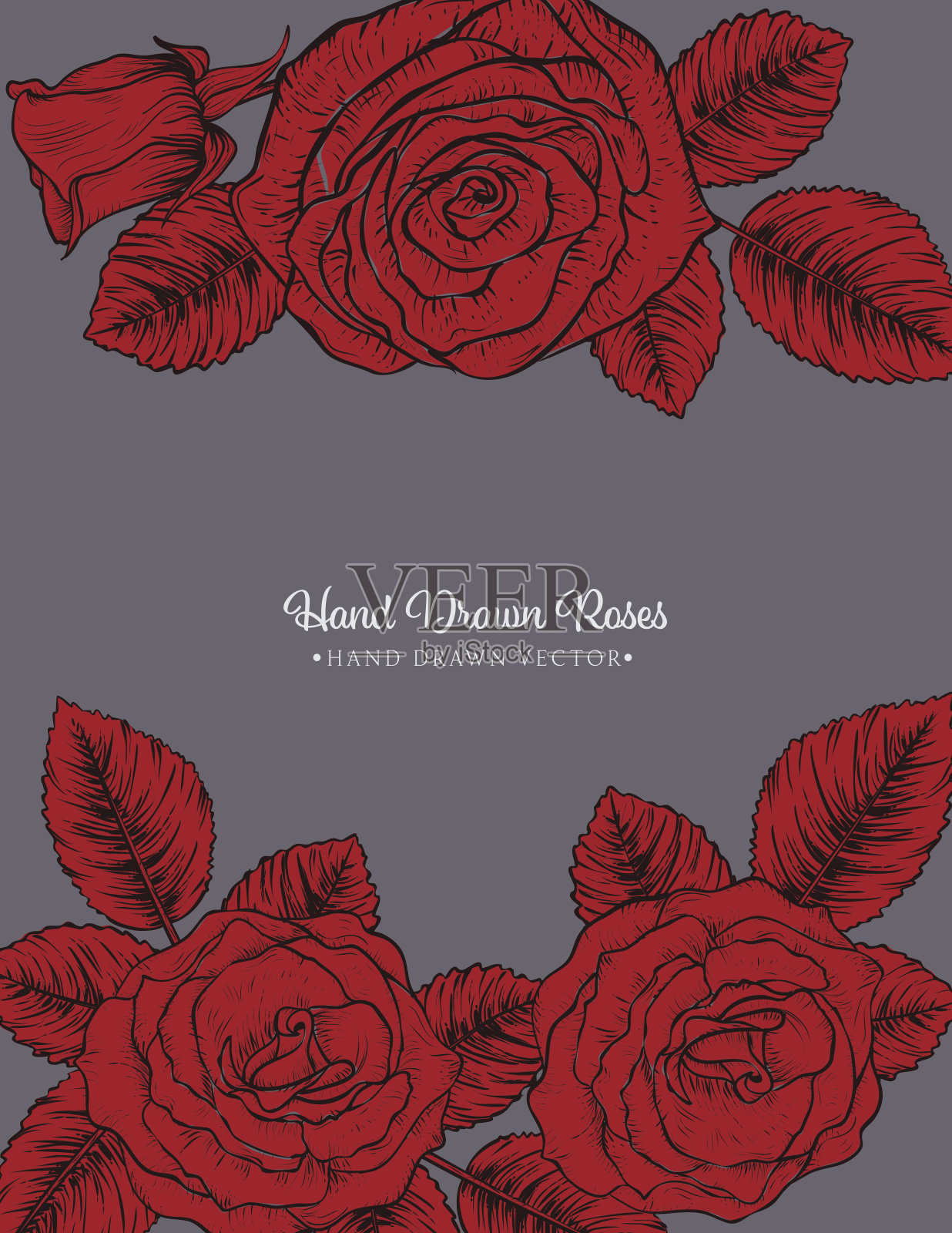 植物玫瑰邀请模板插画图片素材