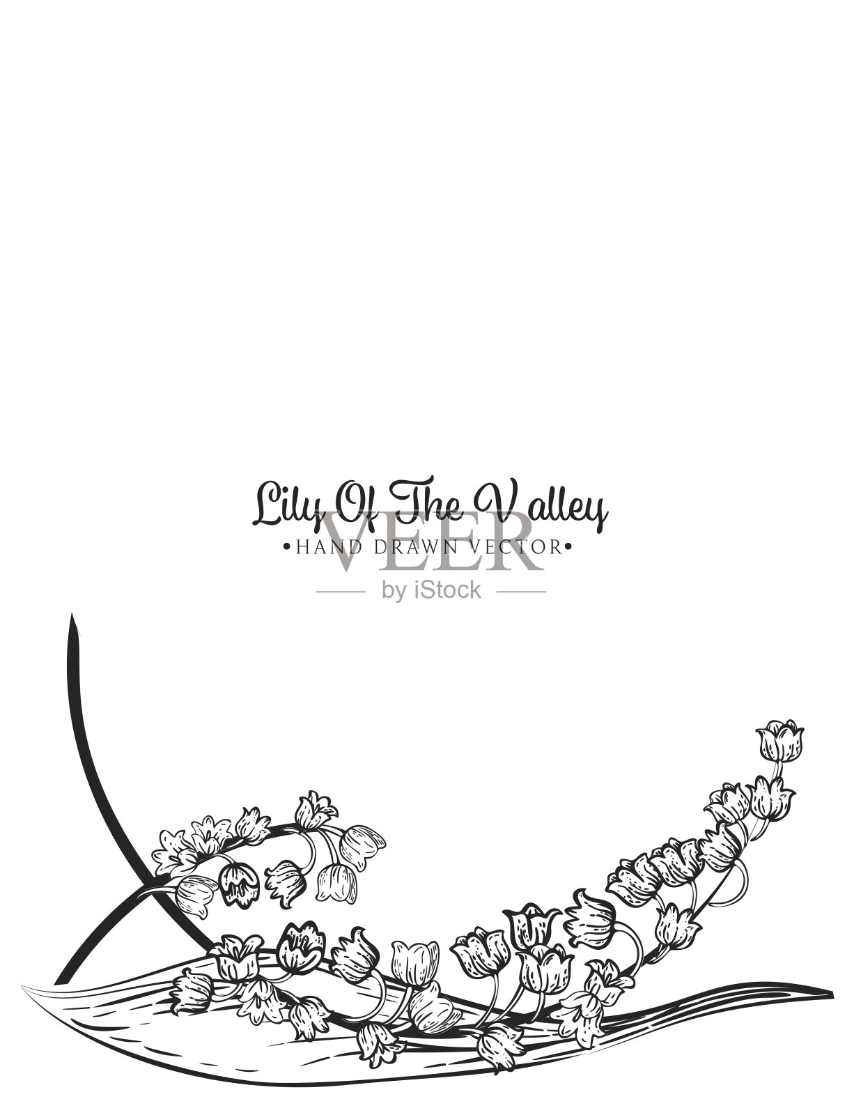 山谷百合邀请书模板插画图片素材