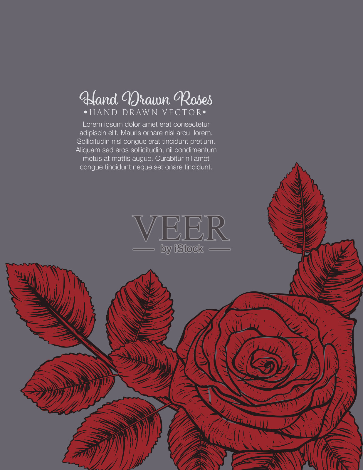 植物玫瑰邀请模板插画图片素材