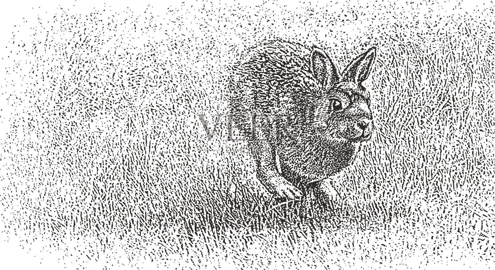 兔和松鼠跑开了插画图片素材