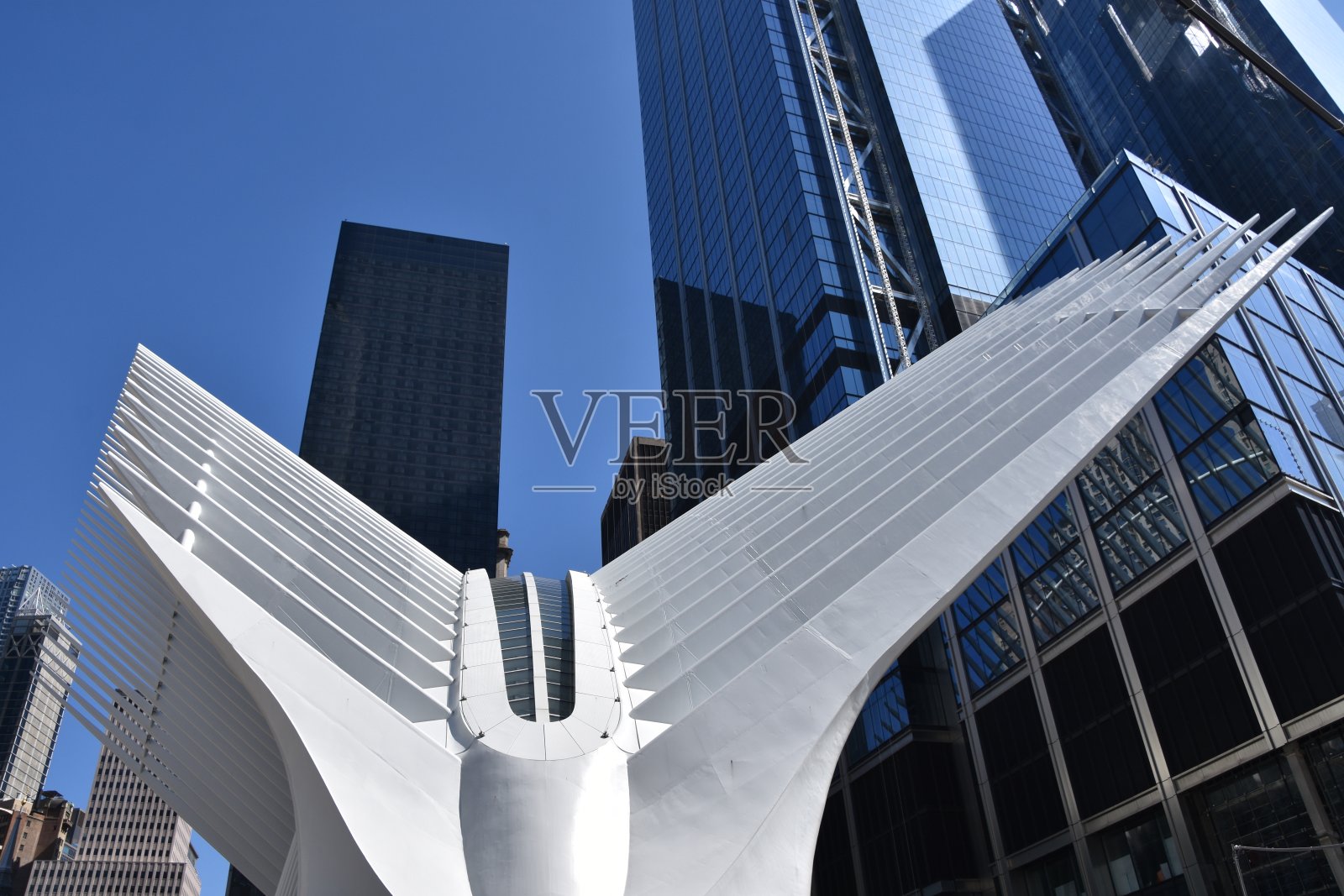 世界贸易中心交通枢纽，曼哈顿，纽约照片摄影图片